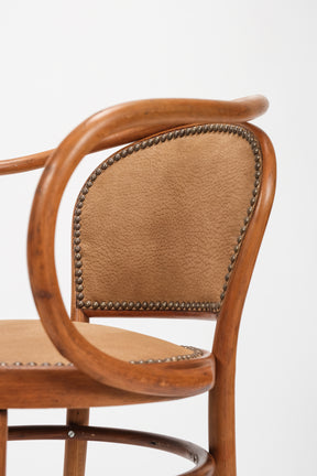 Chair 209, Buffalo Leather, Thonet, 20s