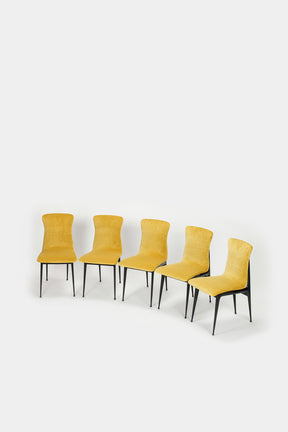 5 italian moulded plywood chairs 50s
