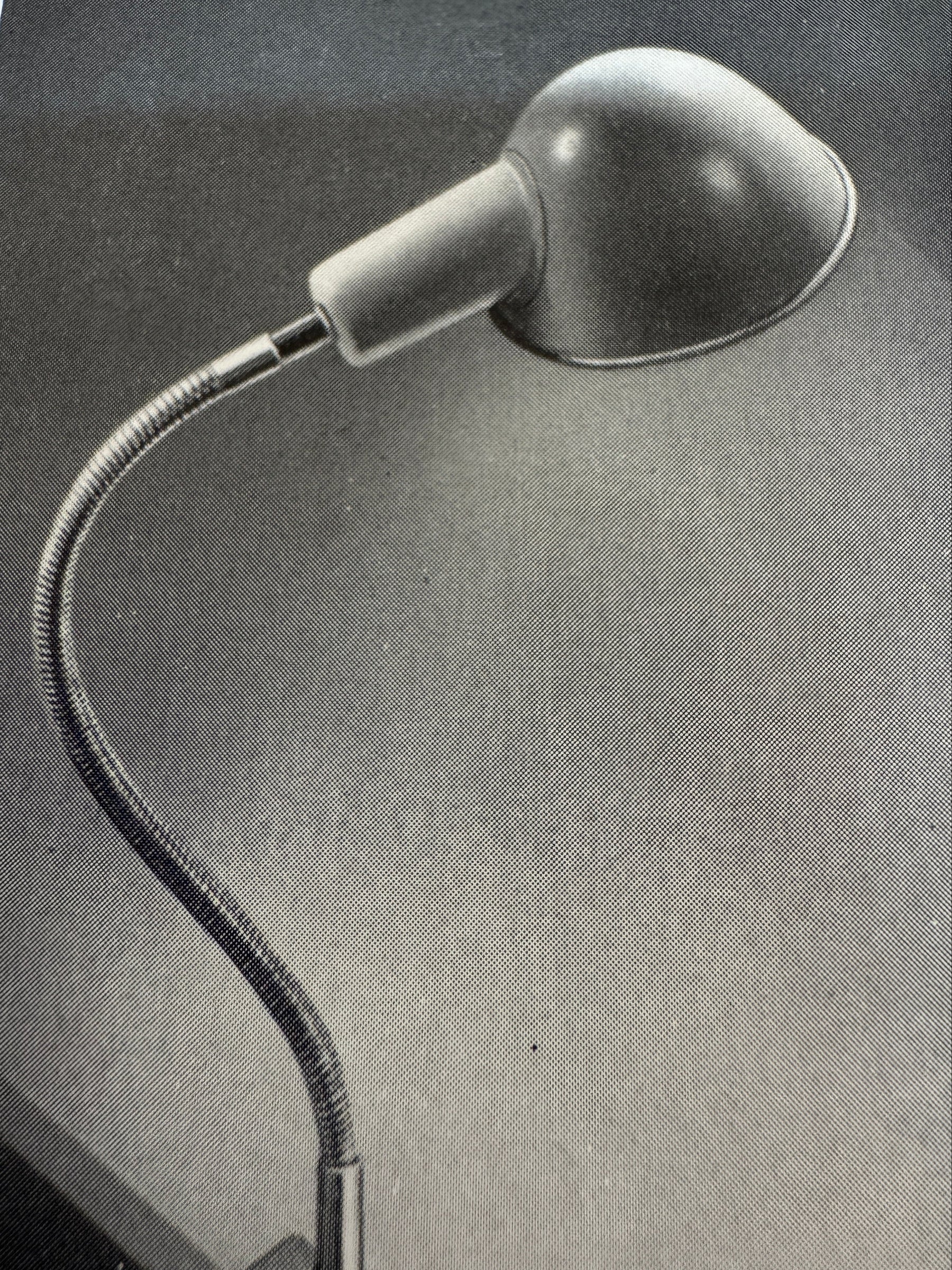 Bag Turgi industrial clamp lamp, 40s