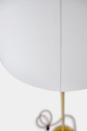 Swedish Floor Lamp, 50s