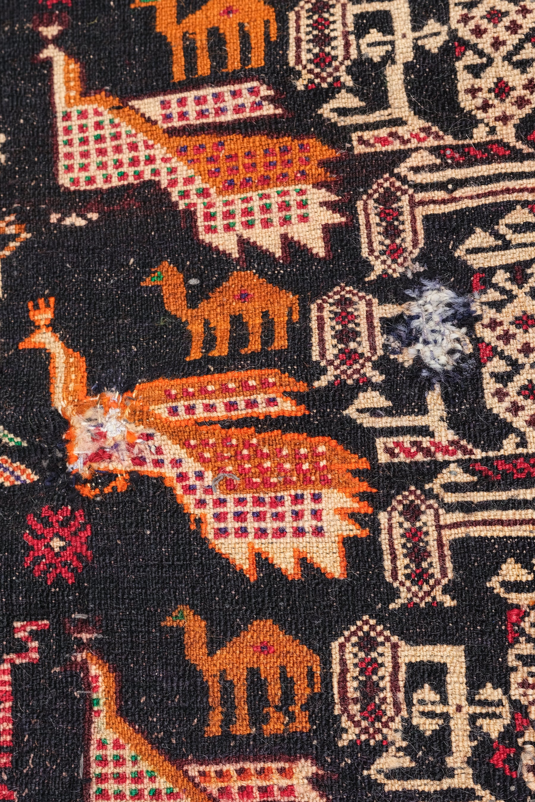 Belouch Carpet, Iran, 20s