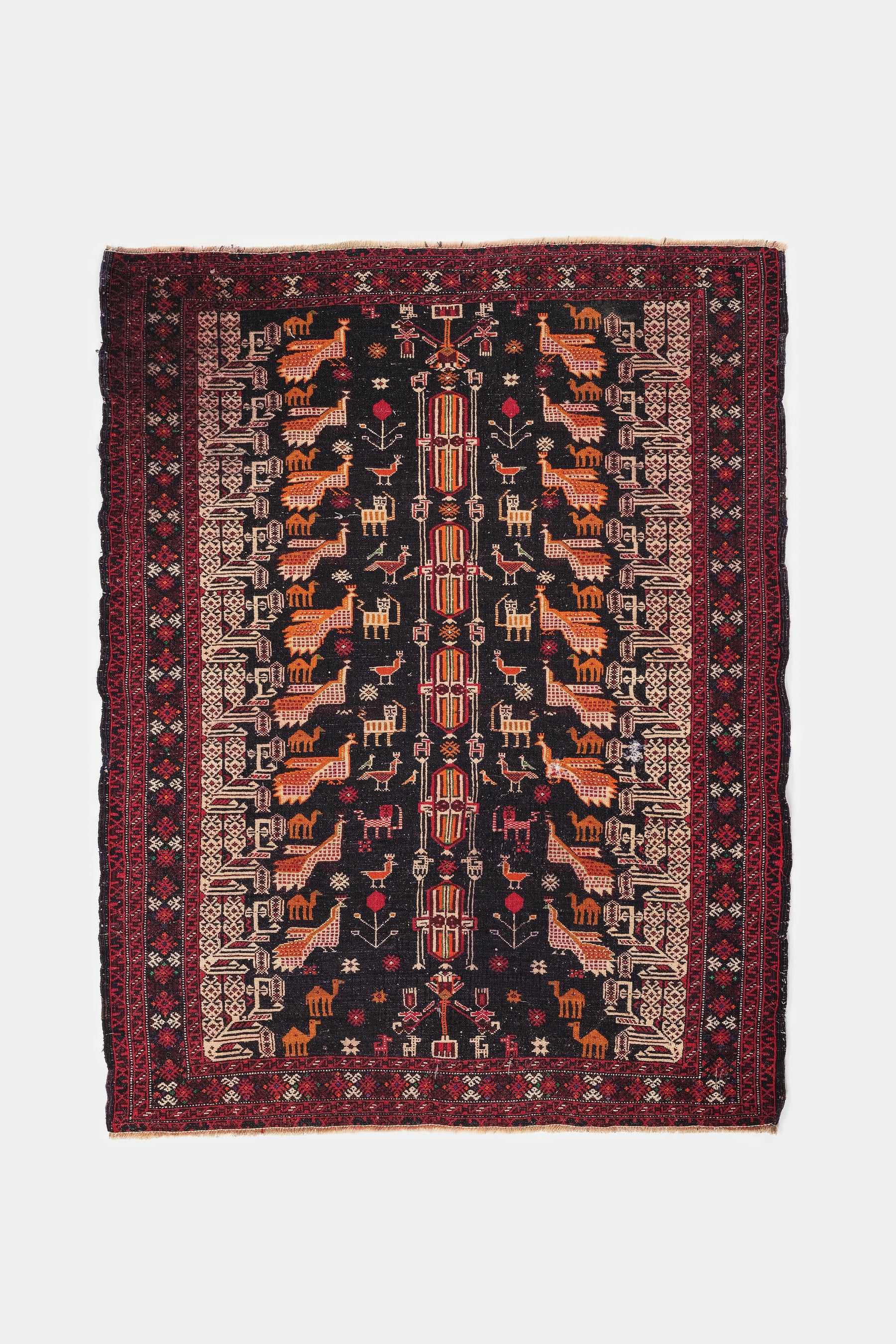 Belouch Carpet, Iran, 20s