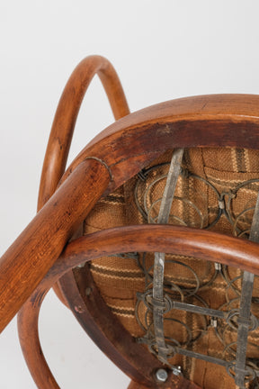 Chair 209, Buffalo Leather, Thonet, 20s