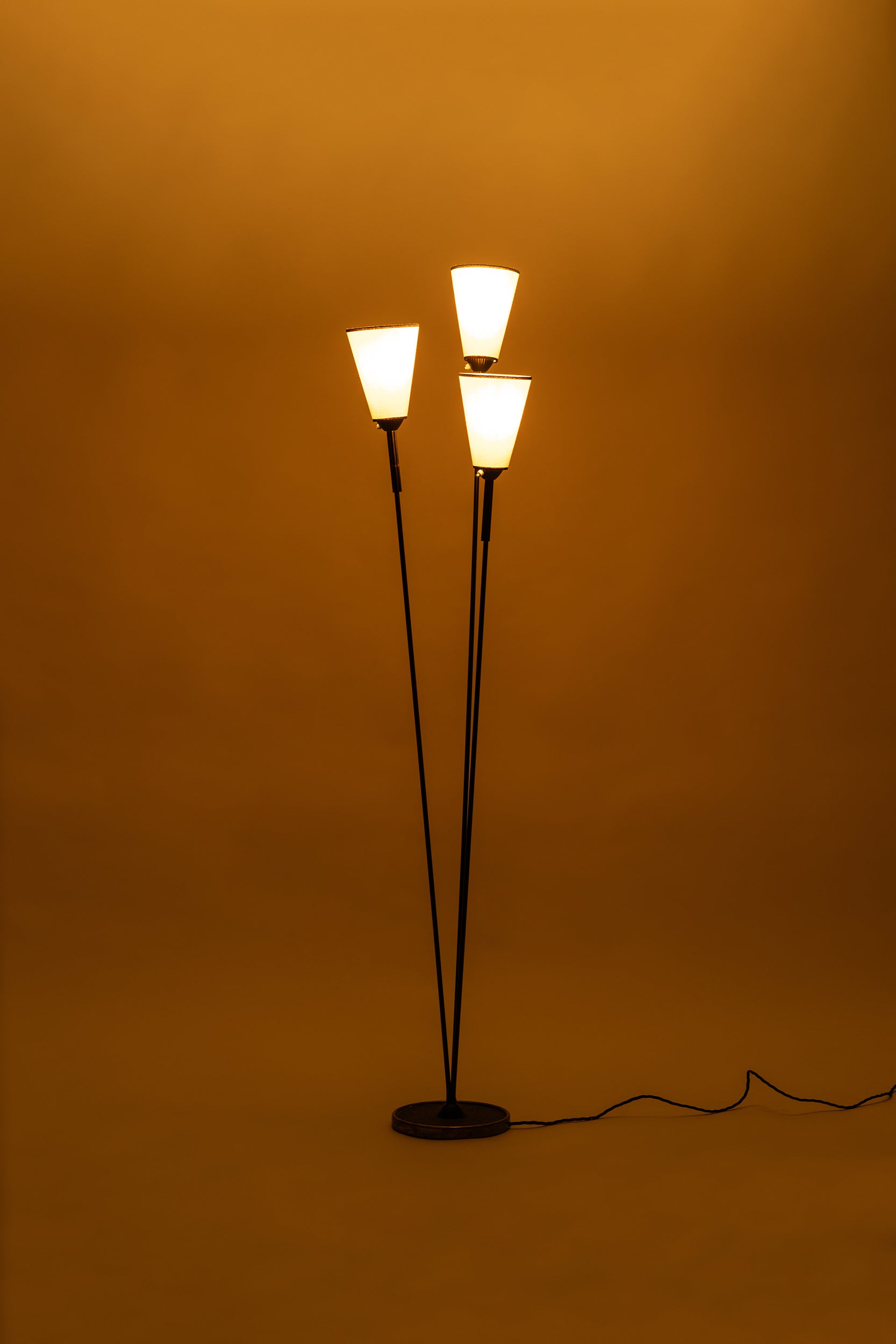 Floor Lamp, France, 50s