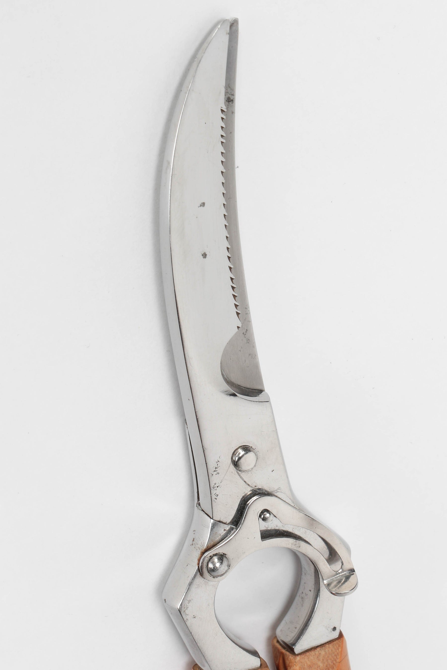 Poultry Scissors PAM INOX from France, 50s