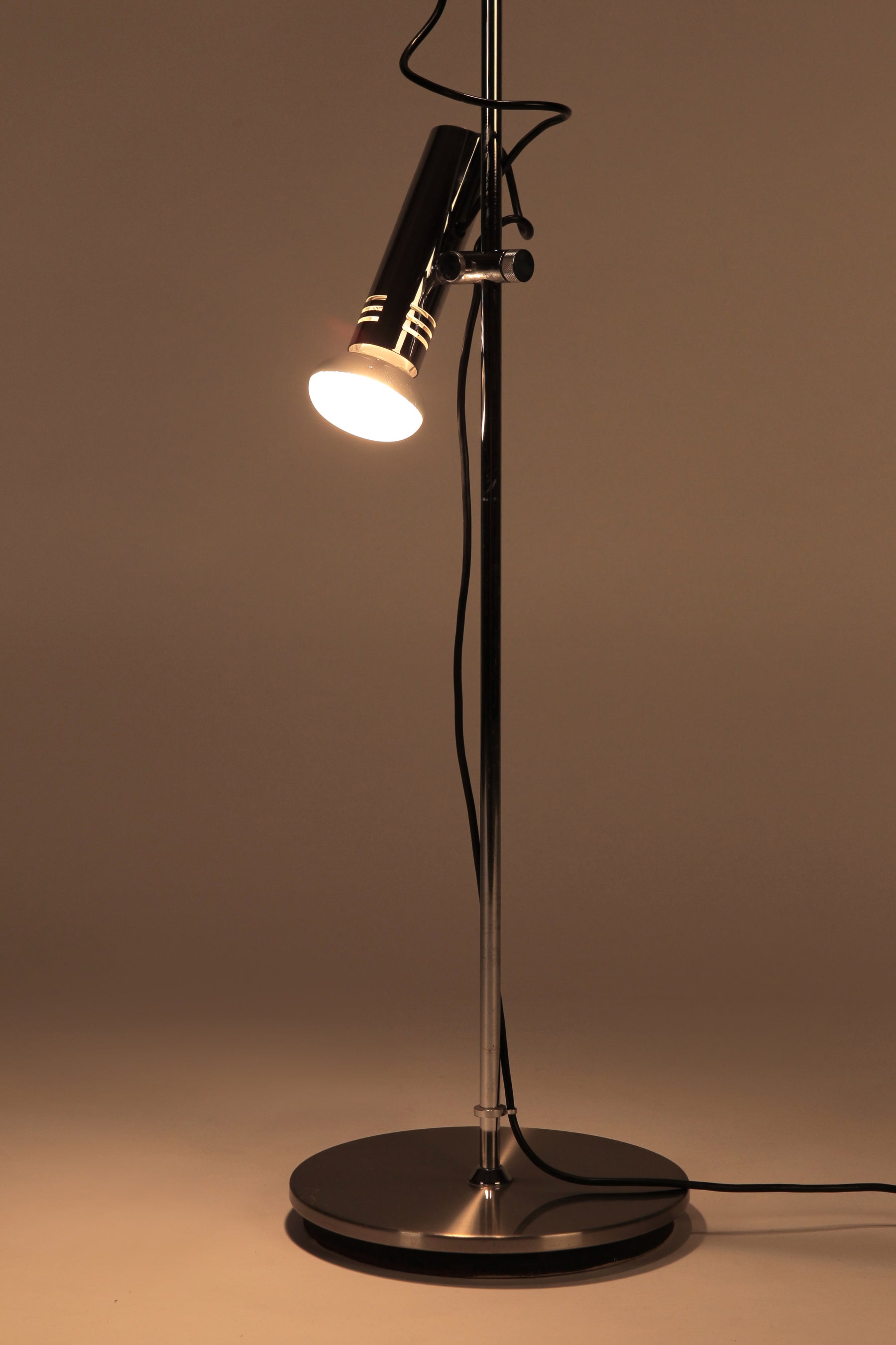 Spot Floor Lamp Reggiani Illuminazione Italy, 70s